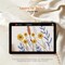 5 Pack Beginner Embroidery Kit for Adults, Easy to Learn Floral Embroidery Patterns
